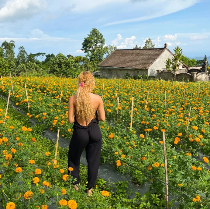 11 Instagram-Worthy Places in Ubud, Bali (+ Complete Cost Guide)