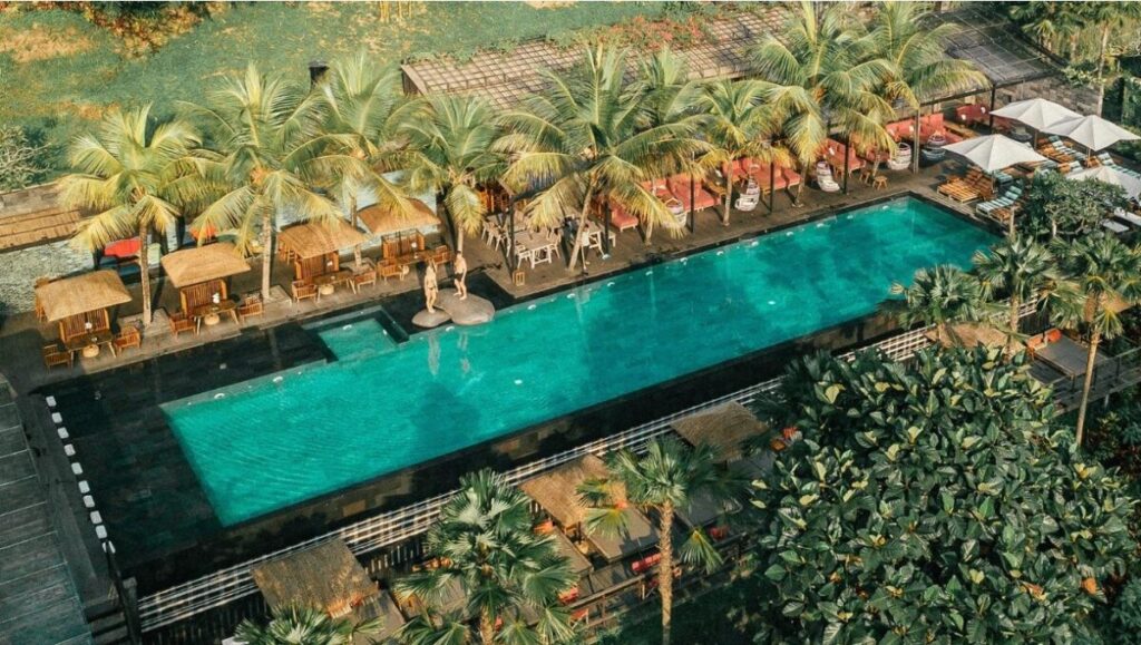 jungle Fish infiniti pool bar ubud jungle views