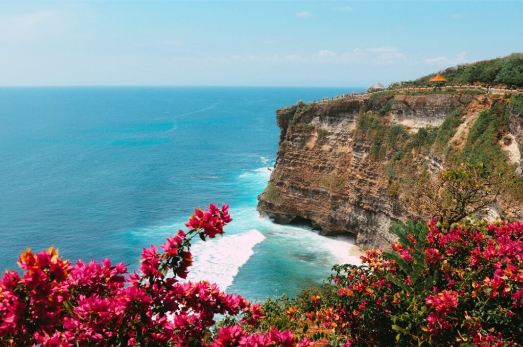cliff side ocean views in uluwatu bali with pink flowers 