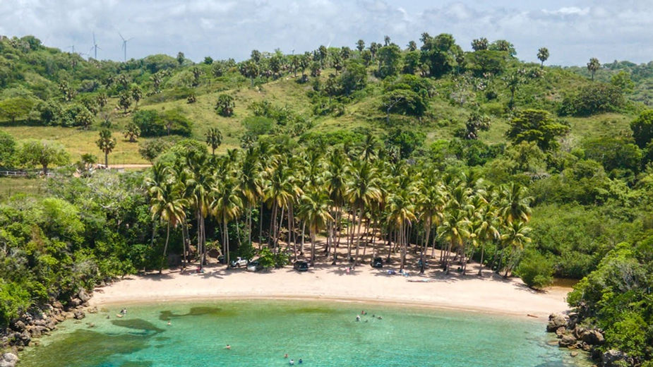 Source:Johan Gonzalez