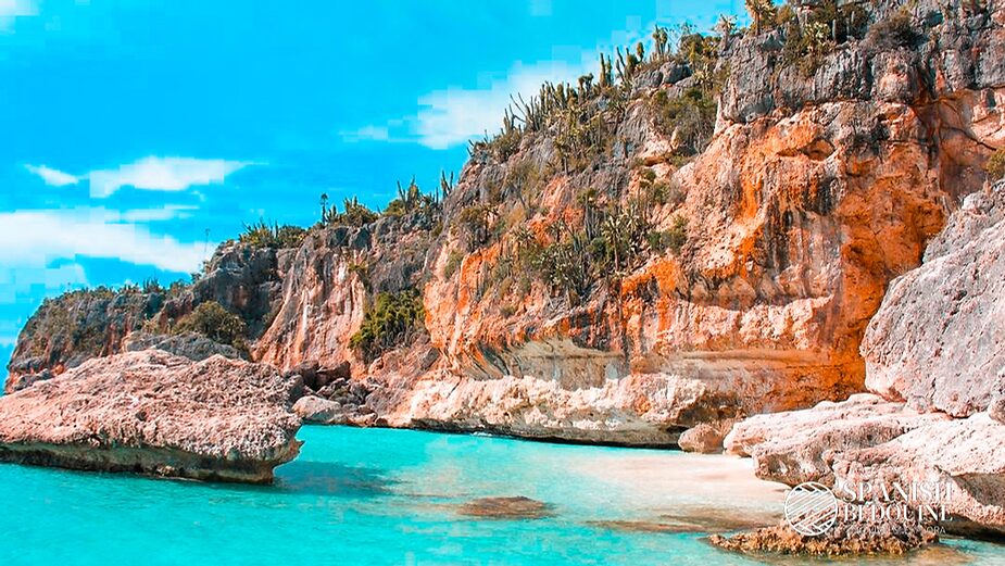turquoise blue water by tall cliffs with palms