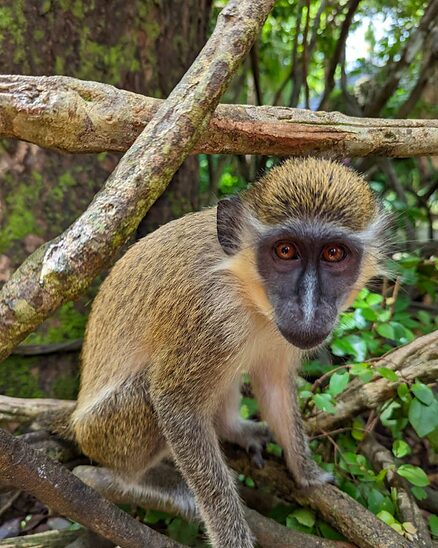 Source: linda-hoang.com