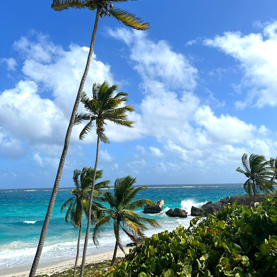 Barbados Ultimate Budget Guide: Gems Beyond the Resorts