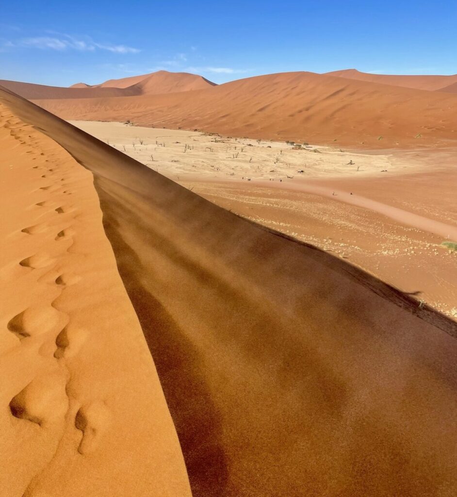 Deadvlei view from the top of the dunes