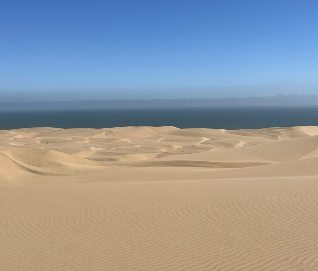 big stretch of sand dunes overlooking the atlantic sea 